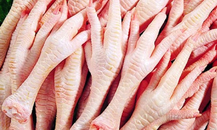 نقش تغذیه در جوش خوردن شکستگی ها : عصاره پای مرغ 